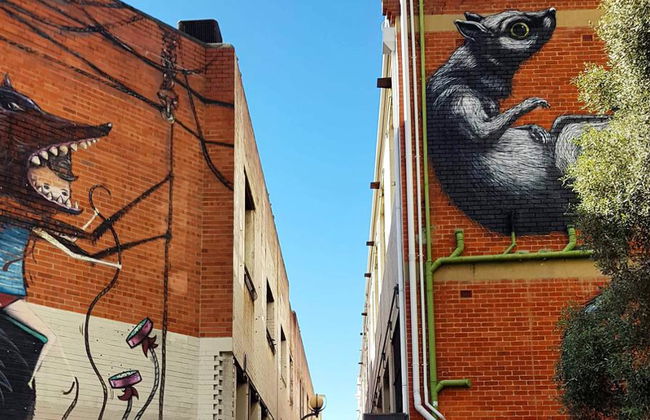 Recorrido a pie por la ciudad de Perth - Foto 1