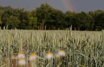 Pärchen Auszeit am Rande der Heide Tokajer Zimmer - Foto 10