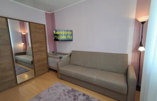 przy Zamku Ryn - Foto 7