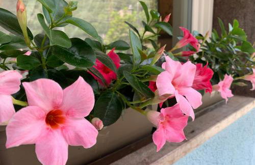 MICASA ESTUCASA slow holiday - Foto 4