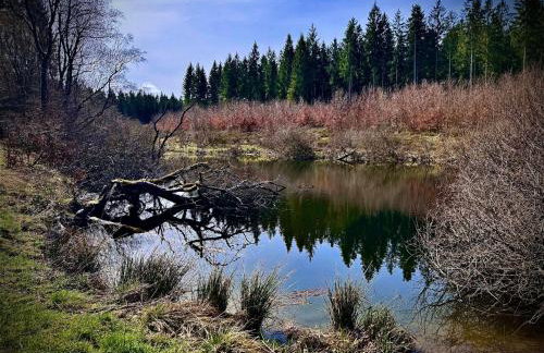 FerienLoft Eifeel Good - Natururlaub in Monschau - Foto 23