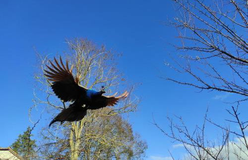 Agriturismo Podere Asche - Photo 32