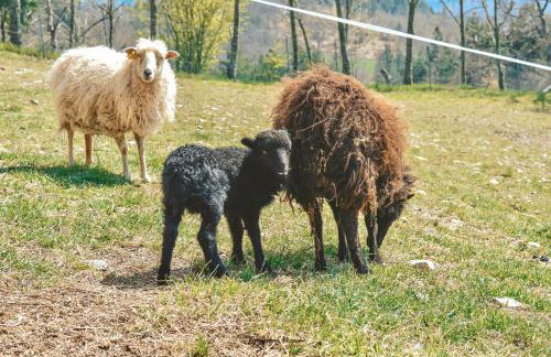 Agriturismo Vezzano - Foto 18