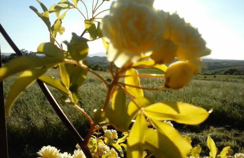 Agriturismo Valiana - Foto 64