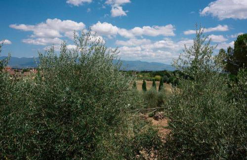 La Locanda Cuccuini - Foto 28