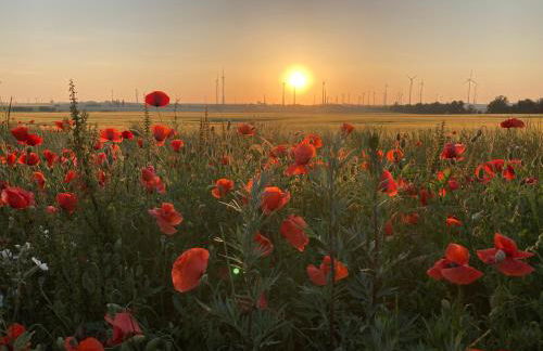 Ferienwohnungen in der alten Schnitterkaserne - Foto 31