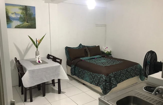 Caribbean Dream Vacation Property - Foto 42