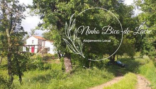 Ninho Bico-de-Lacre ~ o paraíso é a/na Terra - Foto 3