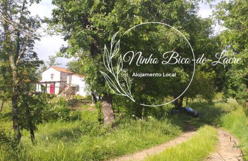 Ninho Bico-de-Lacre ~ o paraíso é a/na Terra - Foto 3