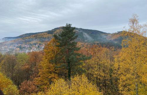 Gîte au nid de l’écureuil - Foto 19