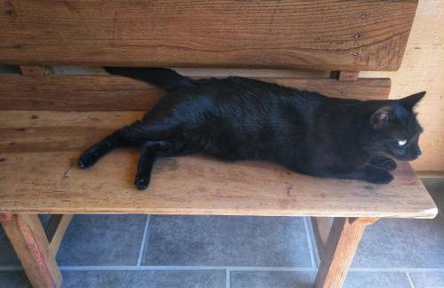 Casa rural El Gato Negro - Foto 10