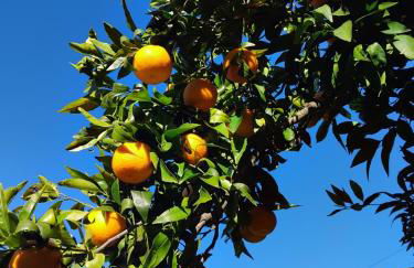 The Cottage near the lake - Foto 25