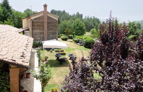 La Rosa Nel Bicchiere - Foto 4