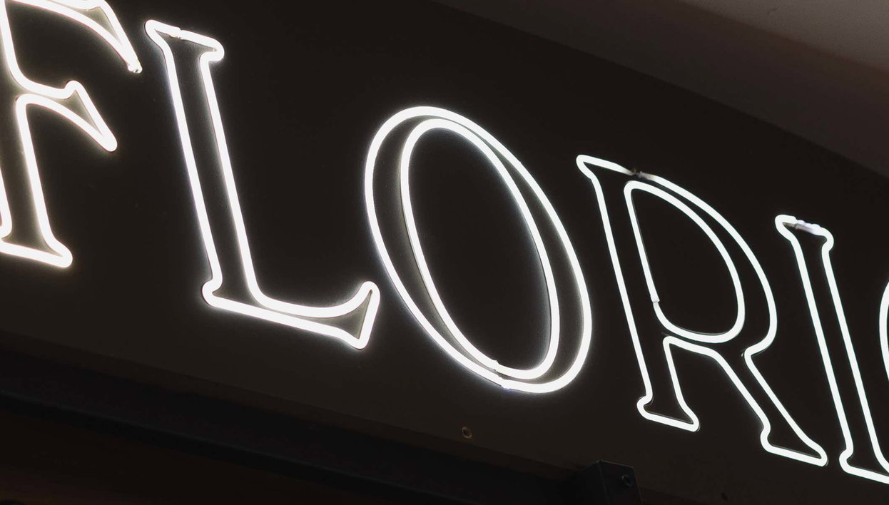 Mendoza Wine Tasting Experience - Photo 1, Mendoza Wine Tasting Experience