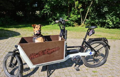 Ferienwohnung op de Warft - Foto 28