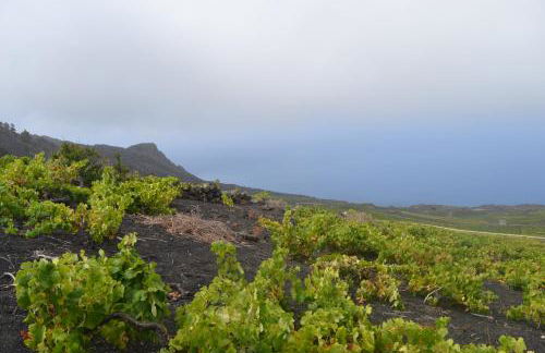 Casa Carolina 2 - Foto 14