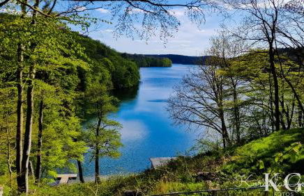 Ferienhaus Vogelsang in Feldberg - Foto 7
