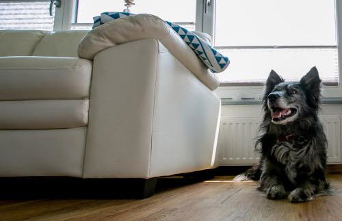 Hus Möwenschiet - Foto 9