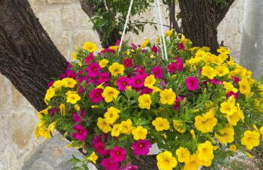 Villa Iris - Foto 55