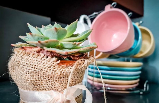 Overlooking - Foto 9