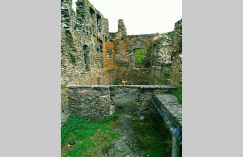 Ferienwohnung Alpaka Blick - Foto 44