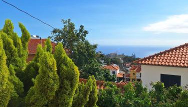 Skyline Home Funchal - Foto 4