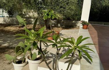 Gli ulivi di Cala Rossa By Dimora Hub - Foto 45