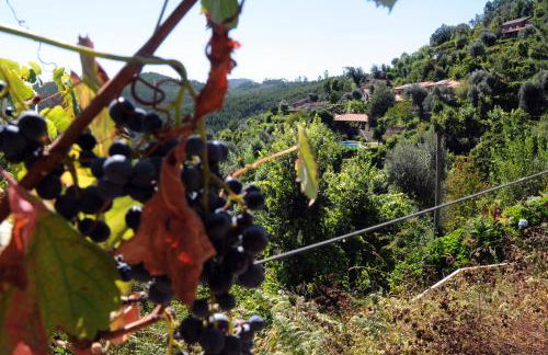 Quinta Das Escomoeiras - Foto 43