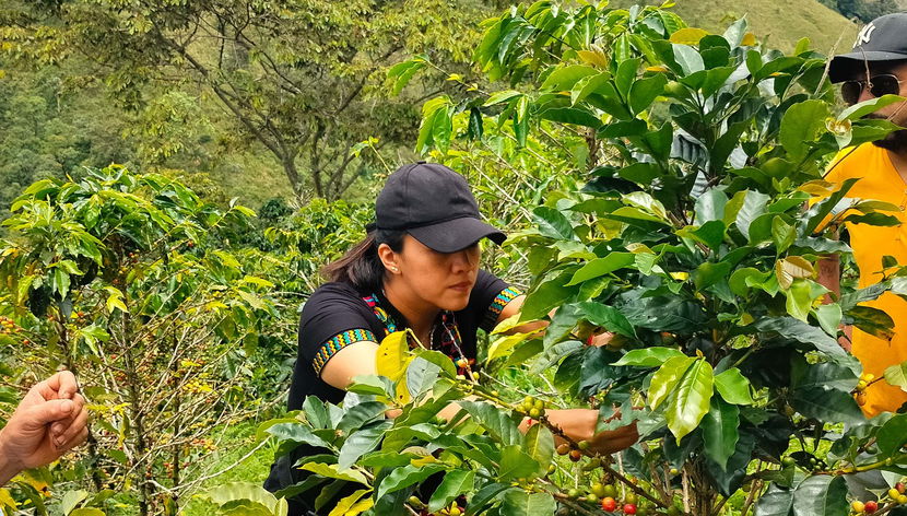 San Rafael Coffee Tour - Photo 3