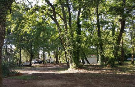 Apartment Matilda - Foto 36