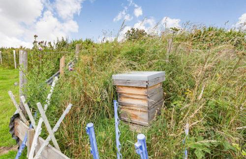 Woodside Hut 3 - Uk36107 - Foto 23