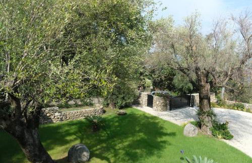 The Wonder 400m from the Sea - Photo 31