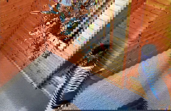 Apartma Pohar- A Bit Different! - Foto 31