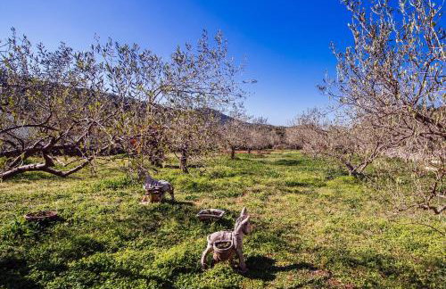 Roko Opaćac Veli IŽ,otok Iž - Foto 7