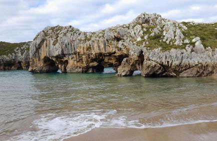 Los Paxarinos - Foto 34