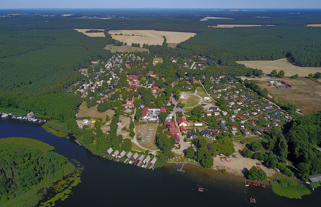 Seeschwalbe - Foto 14