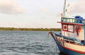 Chalés Amarante - Foto 34