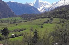 La Casa de la Vega - Foto 52