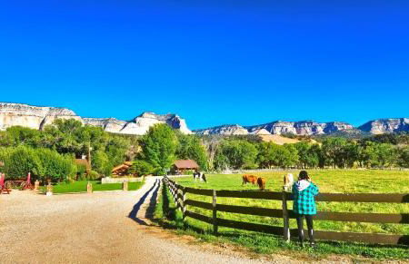 Arrowhead Country Cabins - Foto 17