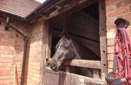 Church Farm Accommodation - Foto 27