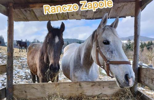 Ranczo Zapole - Foto 8