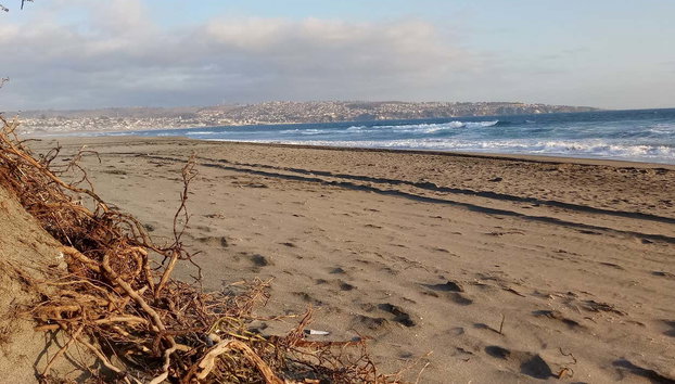 Escursione a Isla Negra, Algarrobo e Quintay - Foto 3