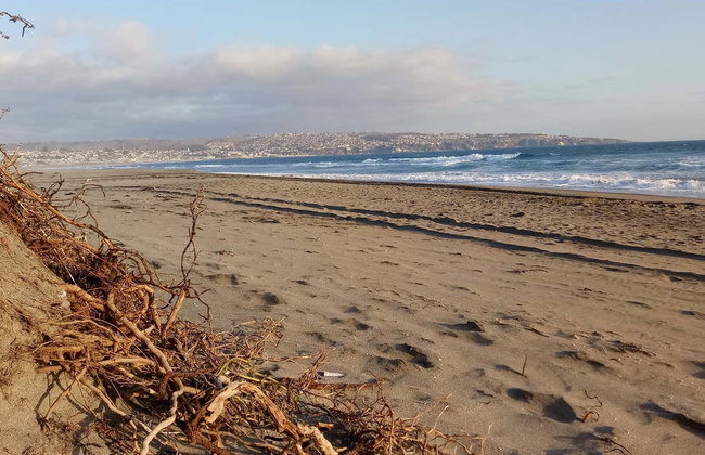 Day Trip to Isla Negra, Algarrobo & Quintay - Foto 3