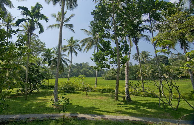 Ivory House - Foto 56