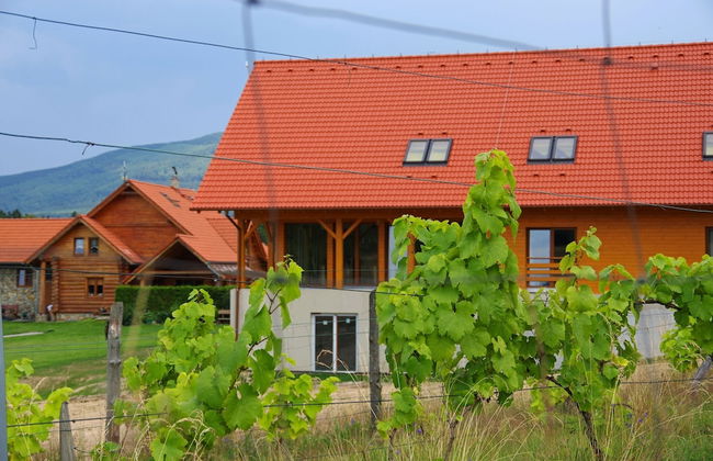 Agroturystyka Dom z Bali - Foto 54