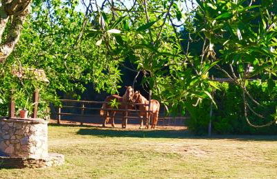 Agriturismo Podere Poggiarone - Foto 34