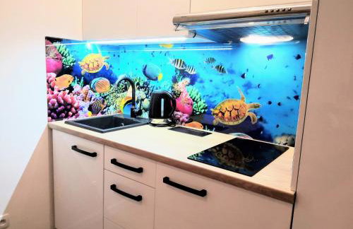 Blue Mare Apartamenty U Tomka - Foto 8