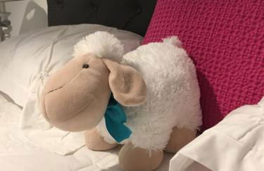 Riviera Terrasse - parking gratuit - Foto 25