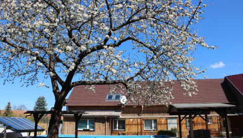 Spreewald Unterkünfte - Foto 5, Garden