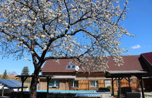 Spreewald Unterkünfte - Foto 5